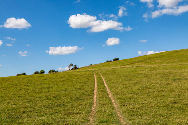 istock A Path along The South Downs Way in Sussex 1299633273