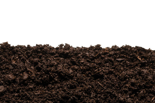 istock Black land for plant. 1299633525