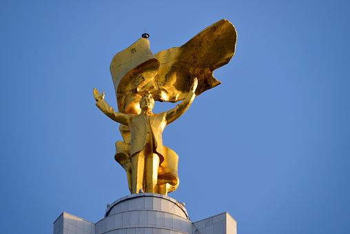 Golden eagle on top of the Rumyantsev Obelisk. St. Petersburg, Russia