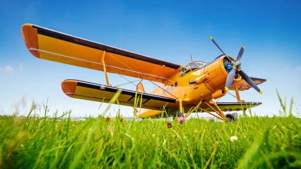 airplane historical aircraft on a meadow propeller airplane stock pictures, royalty-free photos & images