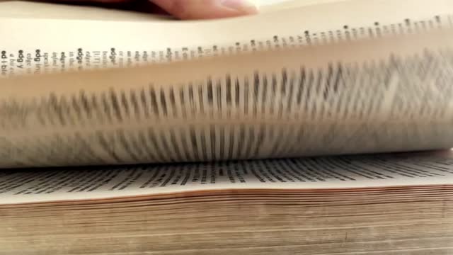 Dictionary Pages