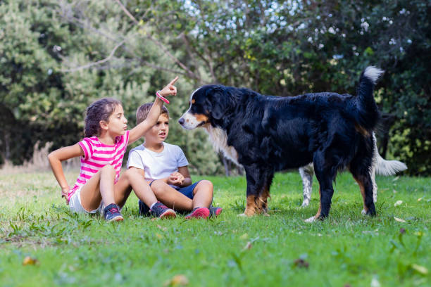 istock Two kids playing with dogs on a field 1299640172