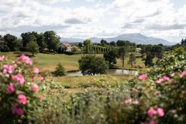 istock French countryside showing a beautiful meadow with a small pond. 1299642756