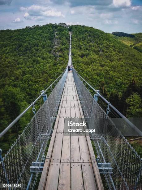 Geierlay Suspension Bridge Stock Photo - Download Image Now - Bridge - Built Structure, Suspension Bridge, Hanging
