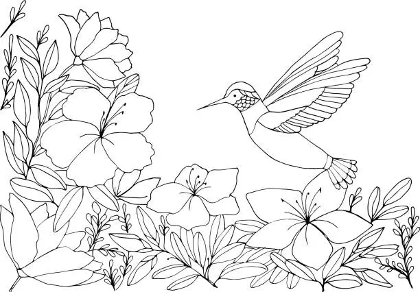 Vector illustration of Coloring book with hummingbirds on a floral background. Vector illustration. The flight of a bird. Suitable for greeting cards, games, books, background, design.