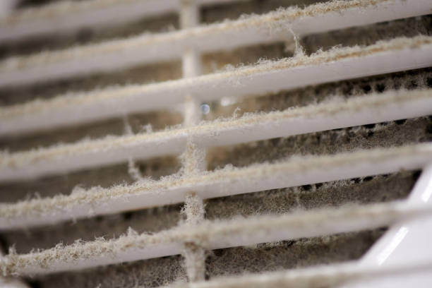 Dirty air ventilation grill of HVAC with clogged filter. stock photo