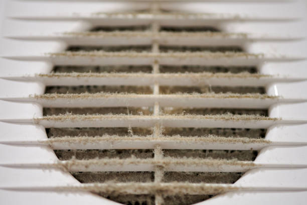 istock Dirty air ventilation grill of HVAC with clogged filter. 1299646414