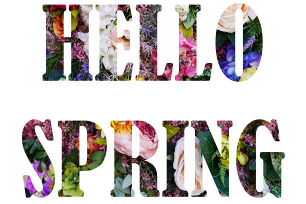 istock Hello Spring floral lettering. Stylish hello spring text from pink flowers, isolated on white background. Floral greeting card or poster template. Springtime 1299647767