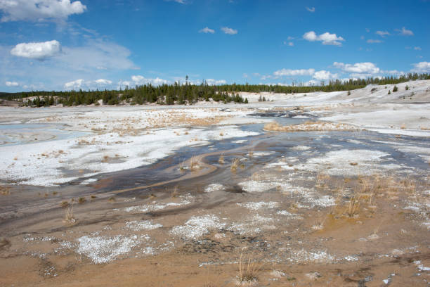 istock Scenics at Norris Geyser Basin 1299652659