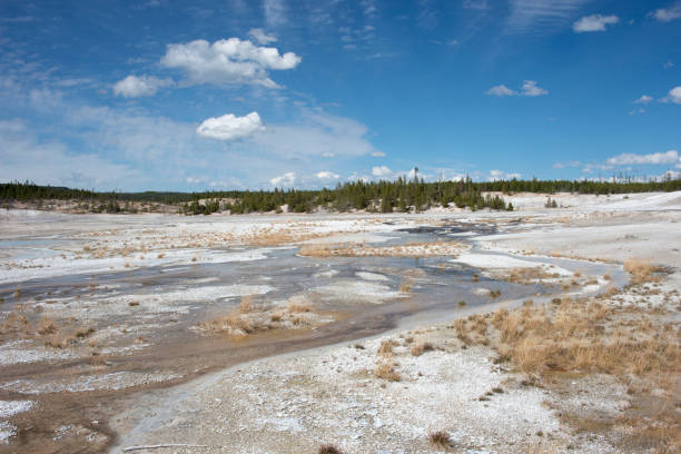 istock Scenics at Norris Geyser Basin 1299652678