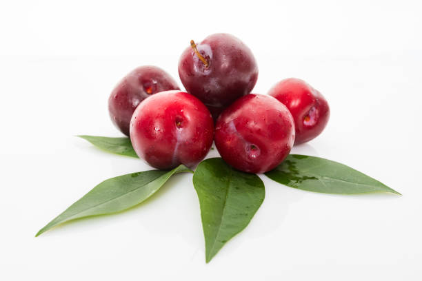istock red  plum with green leaves isolated on white background 1299656332