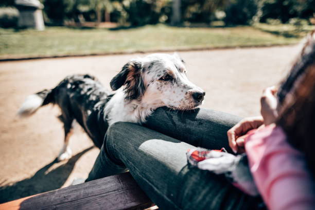 istock woman sitting at the park with the dog 1299658933