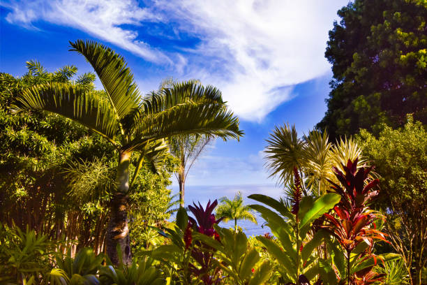 Landscape and nature photography