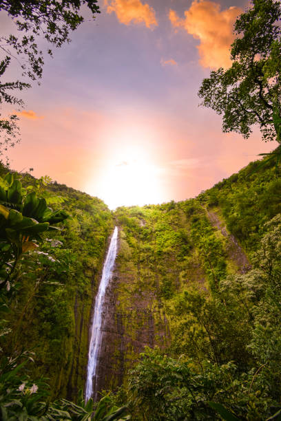 istock Tropical waterfall with green forests and a spectacular sunset in Hawaii 1299659023