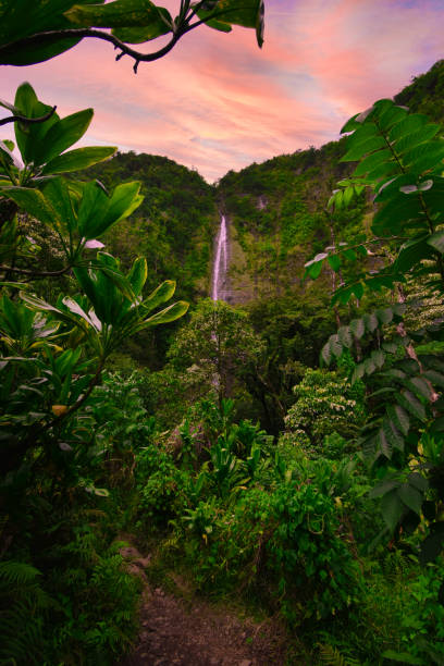 tropical waterfall with green forests and a spectacular sunset in hawaii - waimea canyon state park imagens e fotografias de stock