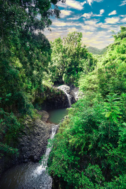 istock Tropical waterfall with green forests and a spectacular cloudy sky in Hawaii 1299659046