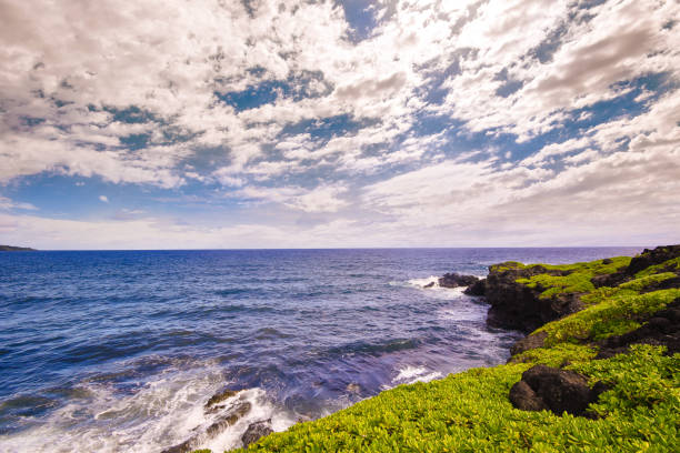 istock Rocks covered with grass on the Pacific coast of Hawaii with cloudy sky 1299659082