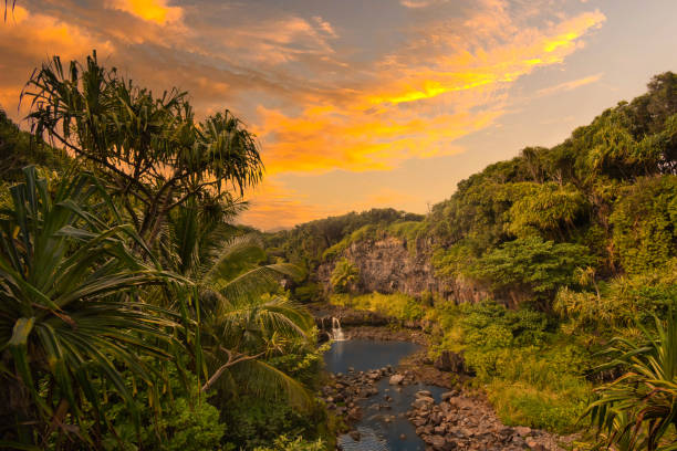 Tropical waterfall with green forests and a spectacular sunset in Hawaii Landscape and nature photography jurassic photos stock pictures, royalty-free photos & images