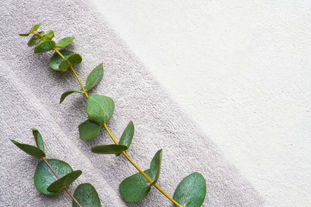 istock Rolled grey towel and green eucalyptus branch on white concrete background. Minimalist scandinavian style. 1299662548