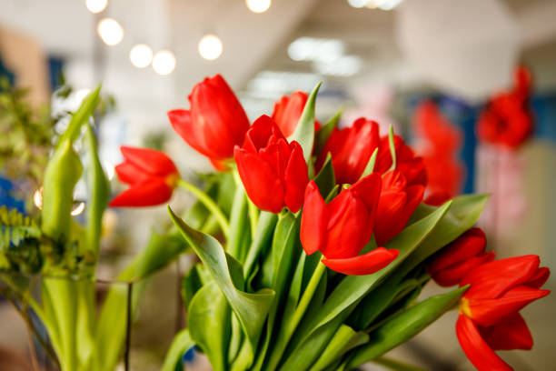 Bouquet of red spring tulips in office