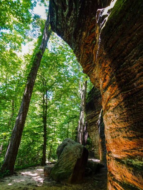 istock Sandstone Ledges Wooded Trail 1299672580