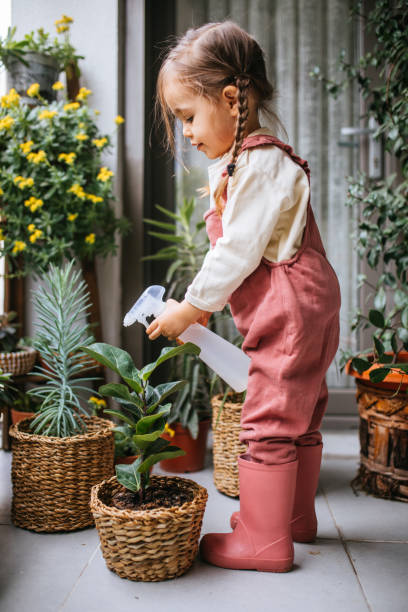 istock Little girl watering houseplants 1299672674