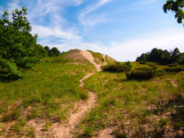 istock Lake Michigan Sand Dune Series 1299672810