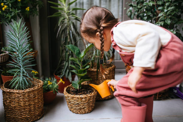 istock Little girl watering houseplants 1299673984