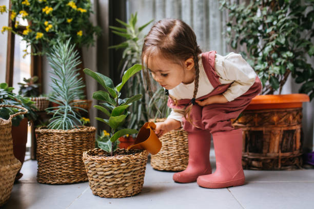 istock Little girl watering houseplants 1299674706