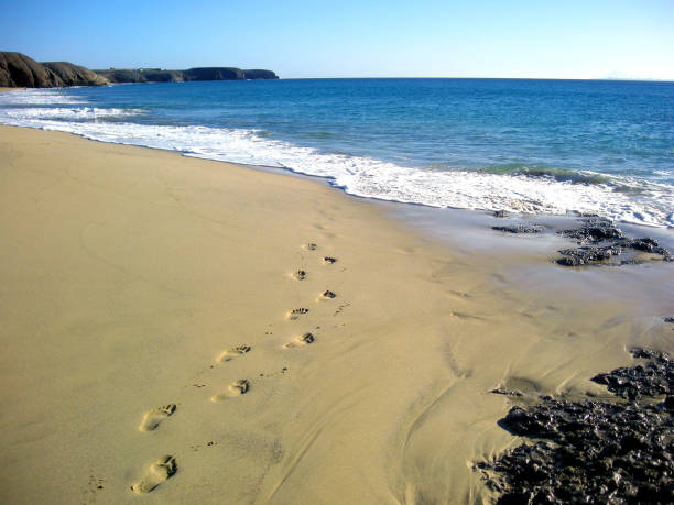 istock Papagayo beach on Lanzarote island 1299674773