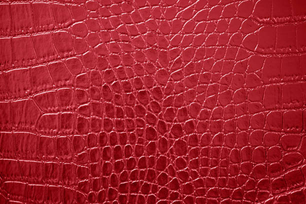 빨간 악어 텍스처 가죽 특허 인공 패턴 적갈색 배경 추상 악어 드래곤 공룡 옴브레 피부 복사 공간 매크로 사진 - textured textured effect hide leather 뉴스 사진 이미지