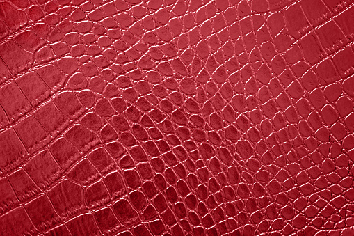 Red Crocodile Texture Leather Artificial Pattern Maroon Tilt Background Abstract Alligator Dragon Dinosaur Ombre Skin Copy Space Macro Photography Design Template for presentation, flyer, card, poster, brochure, banner