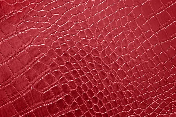 Photo of Red Crocodile Texture Leather Polished Artificial Pattern Maroon Tilt Background Abstract Alligator Dragon Dinosaur Ombre Skin Macro Photography