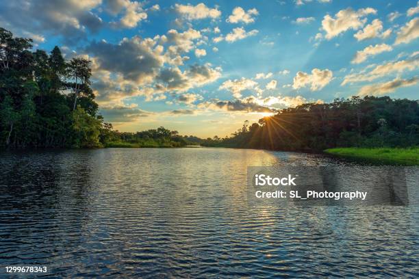 Amazon Rainforest Sunset Stock Photo - Download Image Now - Peru, Amazon Region, Rainforest