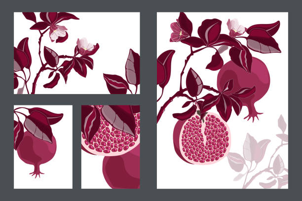 Vector floral cards, templates. Pomegranate tree with maroon fruits and leaves. Vector floral cards, templates. Pomegranate tree with maroon fruits and leaves. Ripe pomegranates with grains and flowers isolated on a white background. paint silhouettes stock illustrations