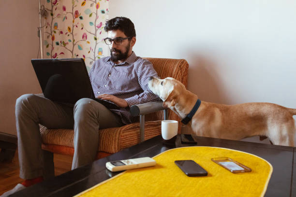 istock Man working on laptop at home, his pet dog is next to him 1299679868