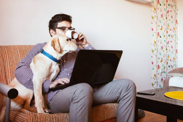 istock Man working on laptop at home, his pet dog is next to him 1299680107