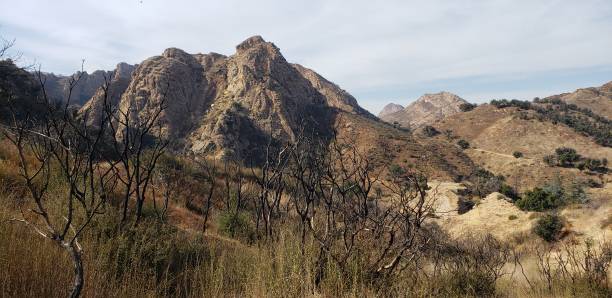 istock Santa Monica Mountains, California 1299681468