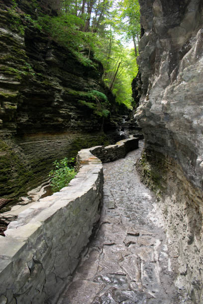 istock Watkins Glen State Park - Hiking Path - Canyon Trail - Finger Lakes 1299683783