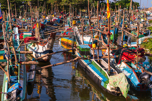 Many traditional fishing boats in the harbor at the local fish market in Galle, Sri Lanka