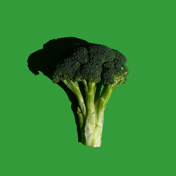 istock Single broccoli inflorescence on a solid green background. Healthy diet green fresh food. 1299687404