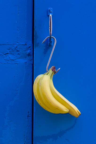 istock Yellow Bananas Hanging on Blue Door 1299688531