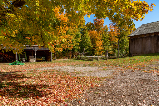 The historic farmhouse is opened to tourists visiting in Bronte Creek Provincial Park in Autumn, Oakville, Canada. The property location is in Bronte Creek Provincial Park.