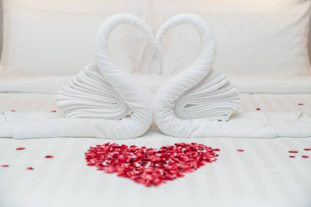 toalha de cisne na cama e pétalas de rosa em forma de coração para lua de mel ou aniversário de casamento, sentimento romântico. - honeymoon romance wedding bedroom - fotografias e filmes do acervo