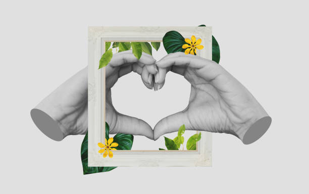 digital collage modern art, hands making heart symbol, with retro picture frame and tropical leaves and flower - criação digital ilustrações imagens e fotografias de stock
