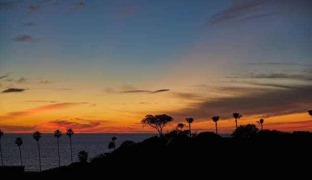 istock Southern California Ocean Sunset silhouette with palm trees 1299700797