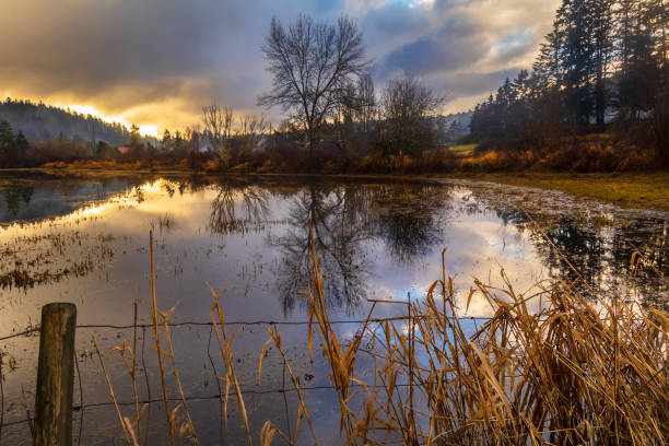 Flooded farm farm on southern Vancouver Island at dawn.