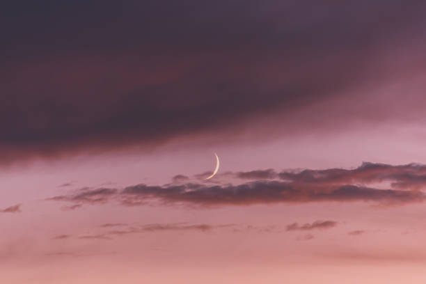 istock New moon moon among pink clouds at sunset. 1299703240