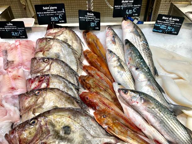 フランスの食品市場におけるシーフードストール - variation catch of fish fish prepared fish ストックフォトと画像