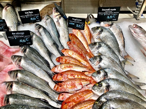 High angle closeup view of a variety of seafood for sale on a market stall at the daily covered market in the seaport city of La Rochelle on the Bay of Biscay in the Charente Maritime department of France